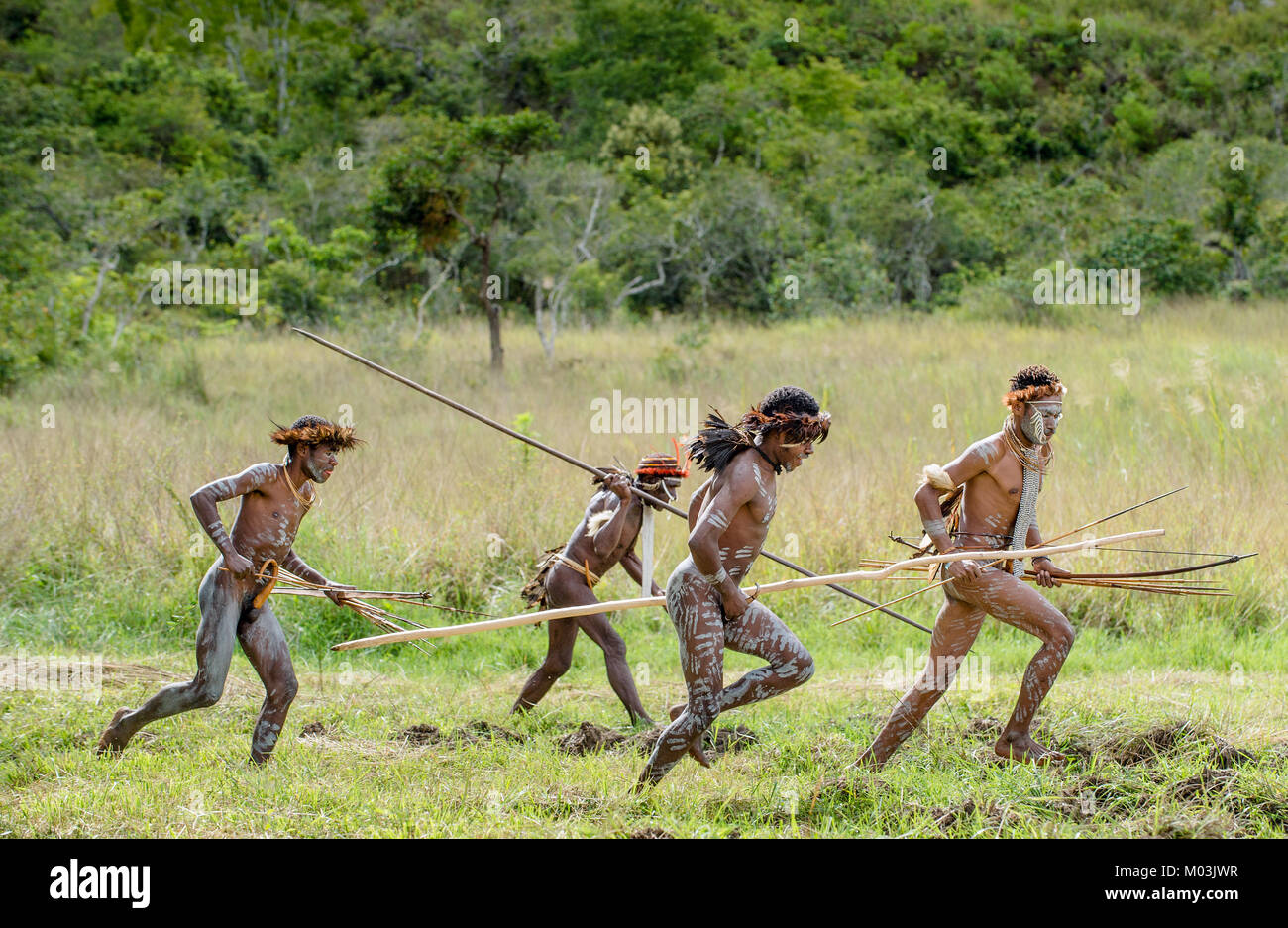 Der Angriff der bewaffneten Gruppe von papuanern. Angreifende Gruppe Krieger von Dani Stamm. Juni 4, 2016, Neu Guinea Insel. Stockfoto