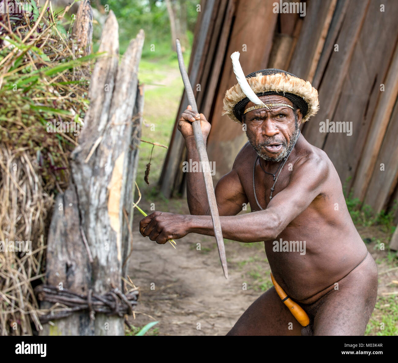 DANI DORF, WAMENA, IRIAN JAYA, Neuguinea, Indonesien - 4. Juni: Die bewaffneten Papua attakking. Dugum Dani Krieger des Stammes. Juni 4, 2016, Neu Guinea Stockfoto