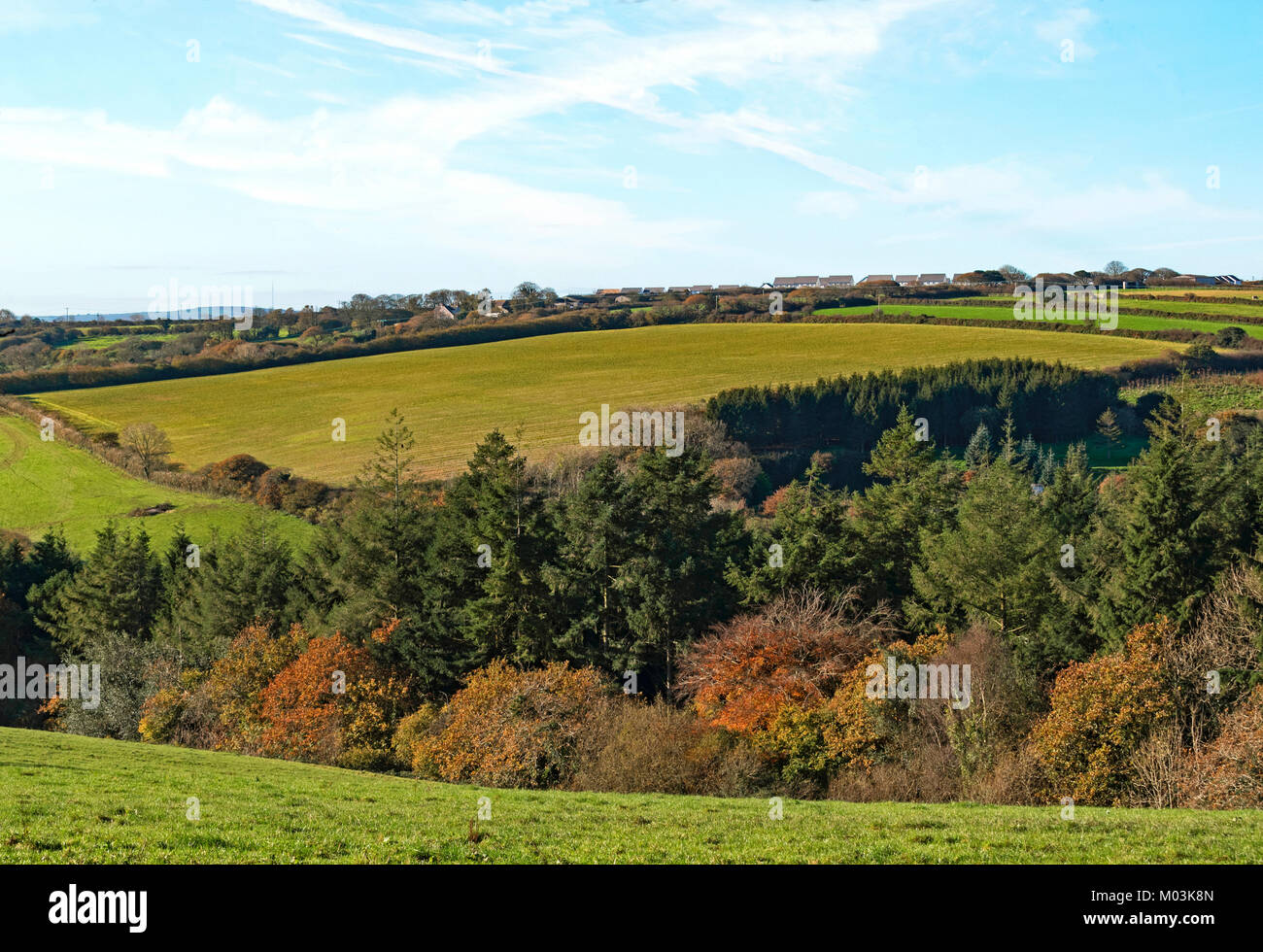 Herbst Landschaft in der Nähe von Truro, Cornwall, England, Großbritannien, Großbritannien. Stockfoto