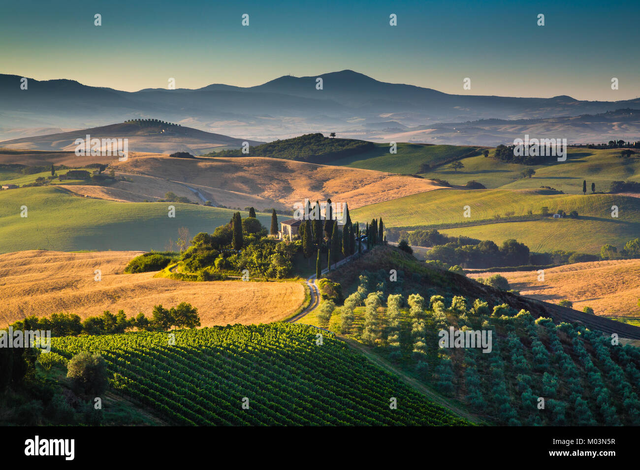 Malerische Toskana-Landschaft mit sanften Hügeln und Tälern im goldenen Morgenlicht, Val d ' Orcia, Italien Stockfoto