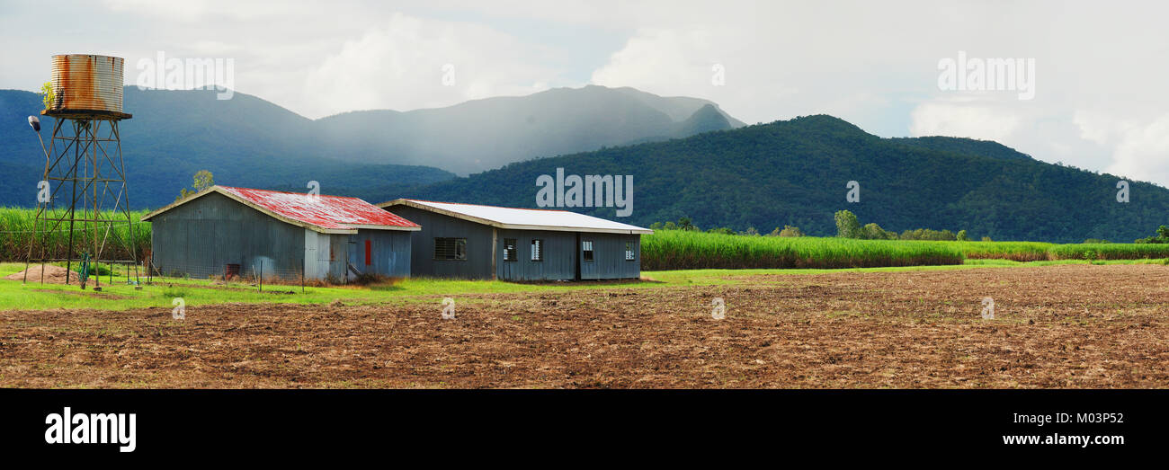 Zuckerrohr Farm, Ingham, North Queensland Stockfoto