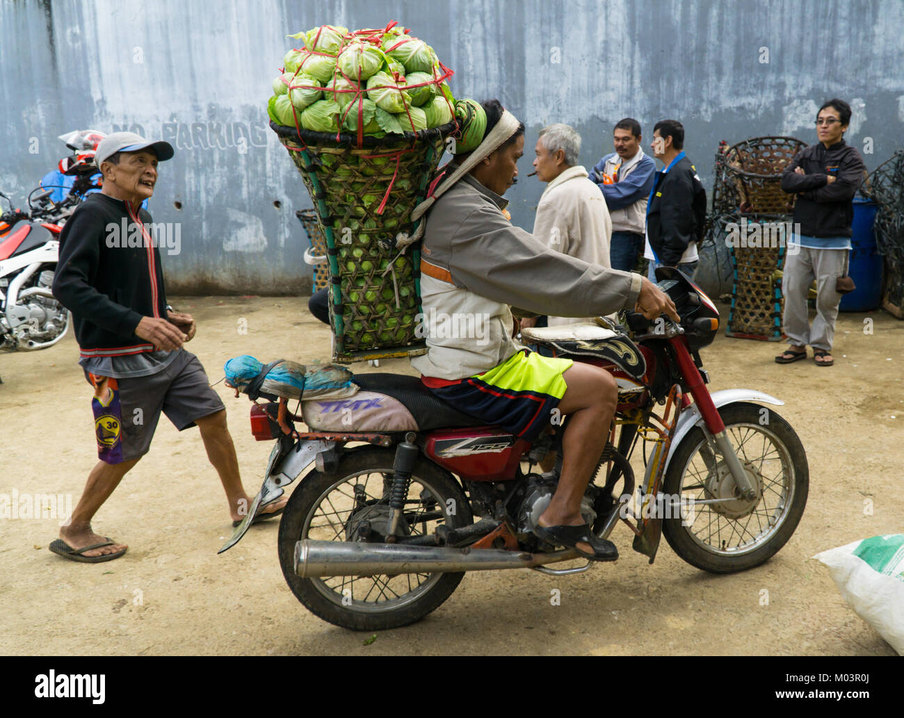 Große, schwere Last von Kohl durch Motorradfahrer zu Mantalongon Markt, Dalaguete, Cebu gebracht Stockfoto