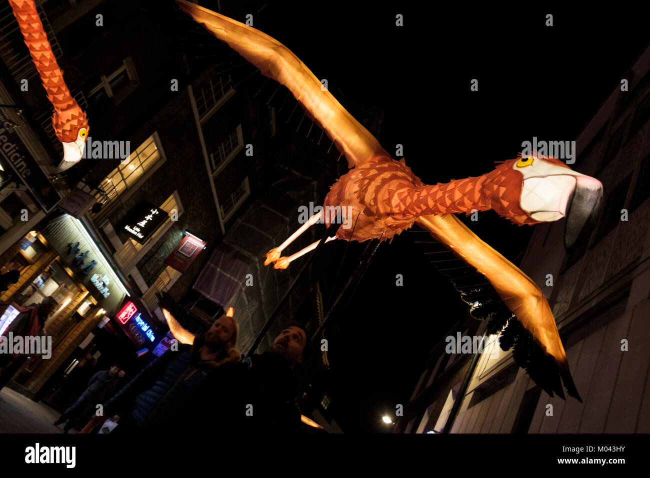London, Großbritannien. 18. Januar 2018. Lumiere London licht Festival kehrt zum zweiten Mal. Mehr als 50 Kunstwerke die Straßen der Hauptstadt verwandeln in ein schillerndes nächtliches freie Kunst Ausstellung. Über eine Million Besucher nahmen an den vier Tagen des ersten Lumiere London Festival im Jahr 2016. Lumiere London läuft noch bis zum 21. Januar 2018. Im Bild: Flamingo Flyway, außergewöhnliche Flamme - bunte Vögel, die durch die je-phantasievolle Laternen Unternehmen mit Jo Pocock (UK), da sie Parade gelassen in Chinatown in London. Das Stück Referenzen die außerordentliche Interkontinentale Migration Routen, die Vögel. Stockfoto