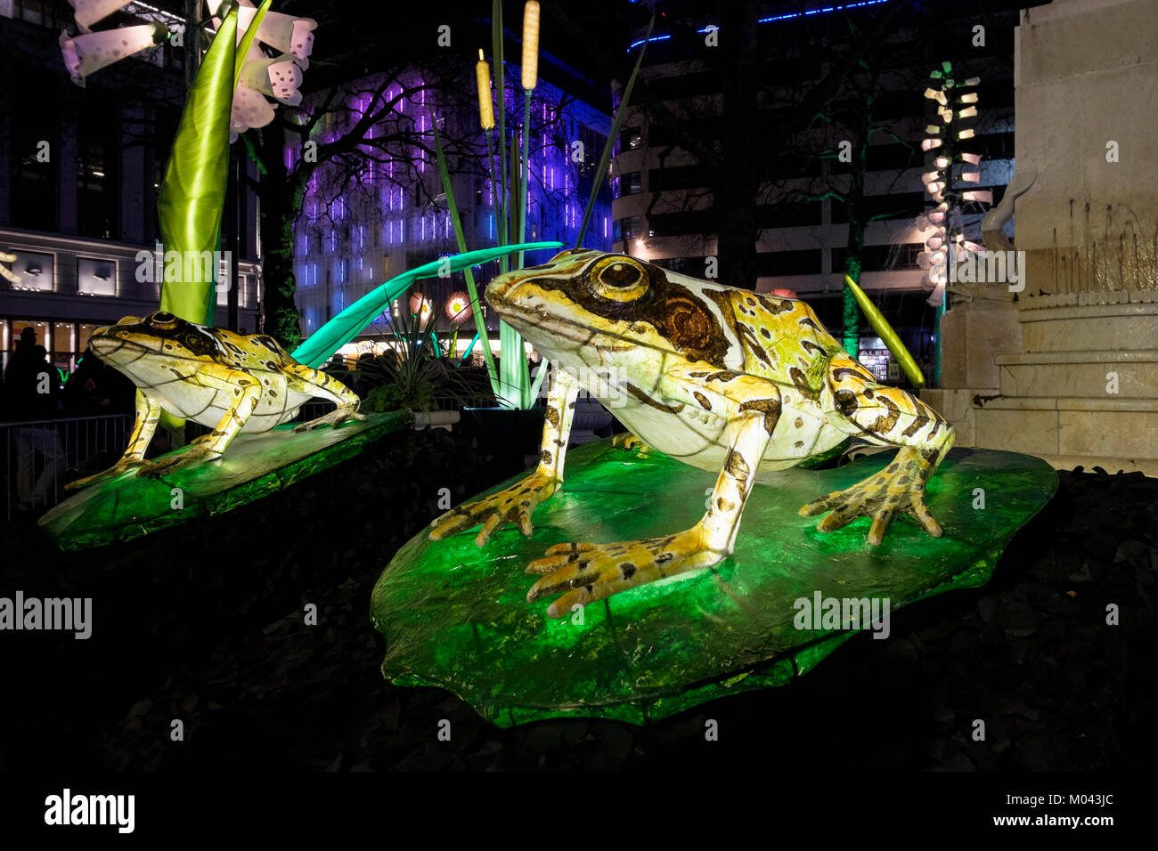 London, Großbritannien. Januar 2018. Das Lumiere London Light Festival kehrt zum zweiten Mal zurück. Mehr als fünfzig Kunstwerke verwandeln die Straßen der Hauptstadt in eine atemberaubende nächtliche freie Kunstausstellung. Über eine Million Besucher besuchten die vier Tage des ersten Lumiere London Festivals im Jahr 2016. Lumiere London fährt bis zum 21. Januar 2018. Im Bild: Der britische Künstler Jo Pocock und die Laterne Company verwandeln die Leicester Square Gardens in eine beleuchtete Welt, die ein Gefühl der Wildnis in das Herz der Stadt bringt. Stockfoto