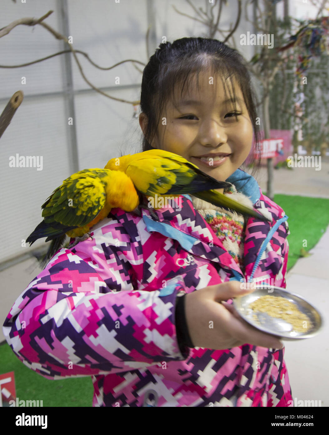 Jili, Jili, China. 18 Jan, 2018. Jilin, China 18. Januar 2018: Ein Papagei Ausstellung ist in Changchun, im Nordosten Chinas, 18. Januar 2018. Credit: SIPA Asien/ZUMA Draht/Alamy leben Nachrichten Stockfoto