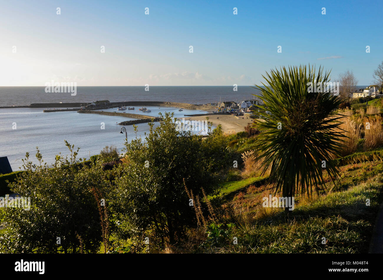 Lyme Regis, Dorset, Großbritannien. 19 Jan, 2018. UK Wetter. Einem kühlen Morgen mit blauem Himmel und Sonnenschein in den Badeort Lyme Regis in Dorset. Foto: Graham Jagd-/Alamy leben Nachrichten Stockfoto
