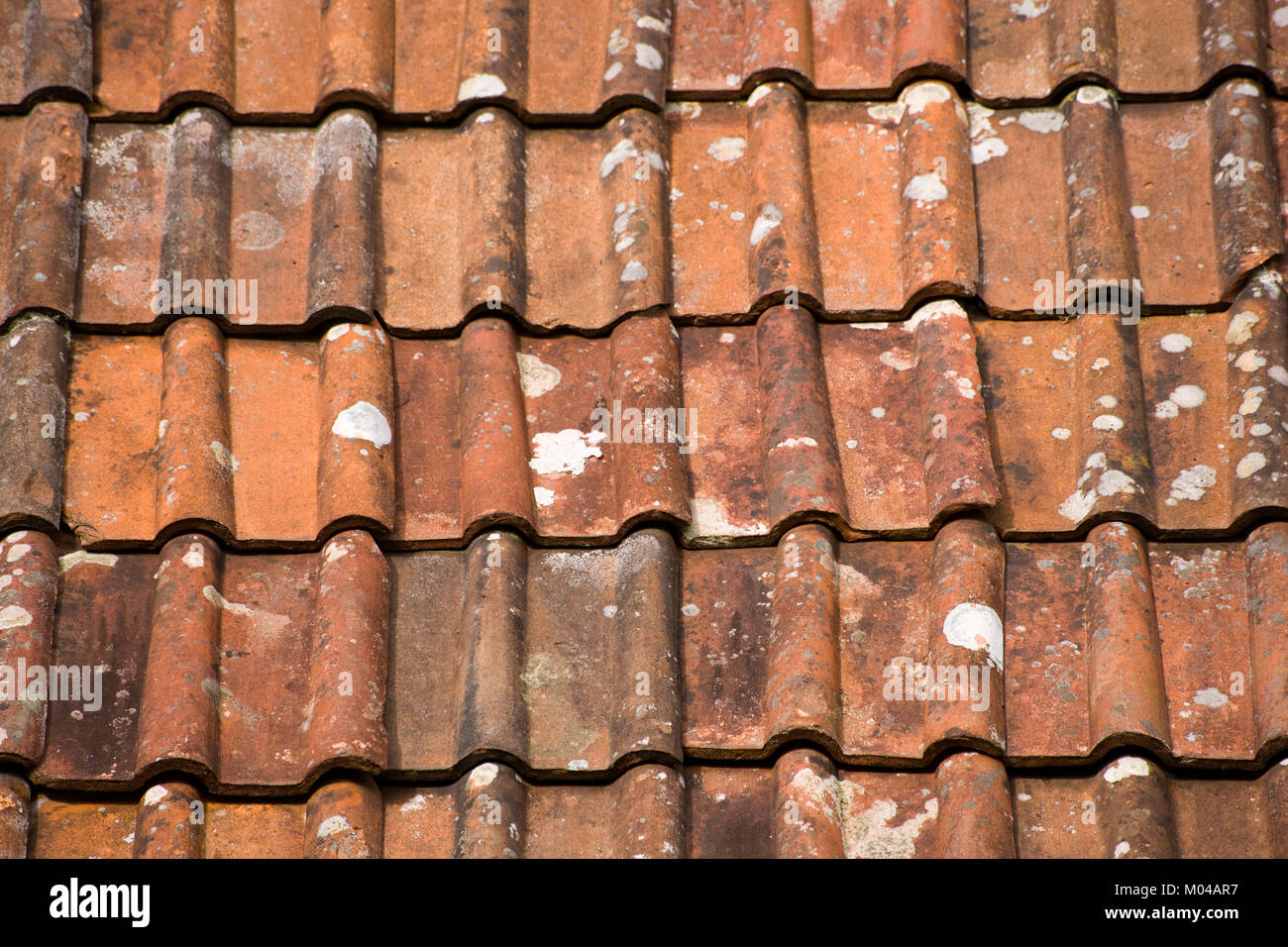 Pantile Dach Muster full frame Hintergrund Nahaufnahme Stockfoto