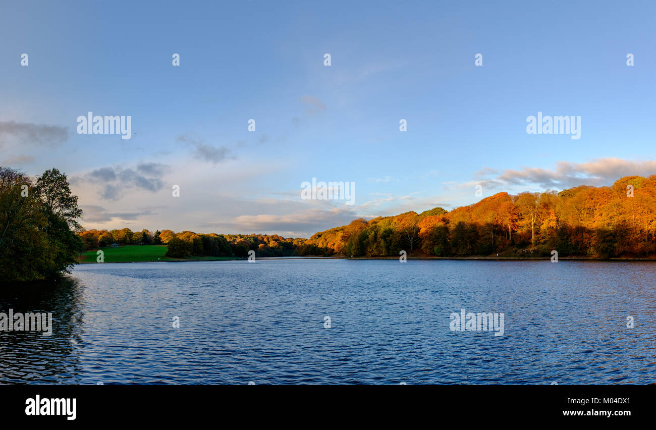 Ein Panoramablick auf die Landschaft des Lake in Roundhay Park in warmen Herbst Abendlicht Leeds, West Yorkshire Stockfoto