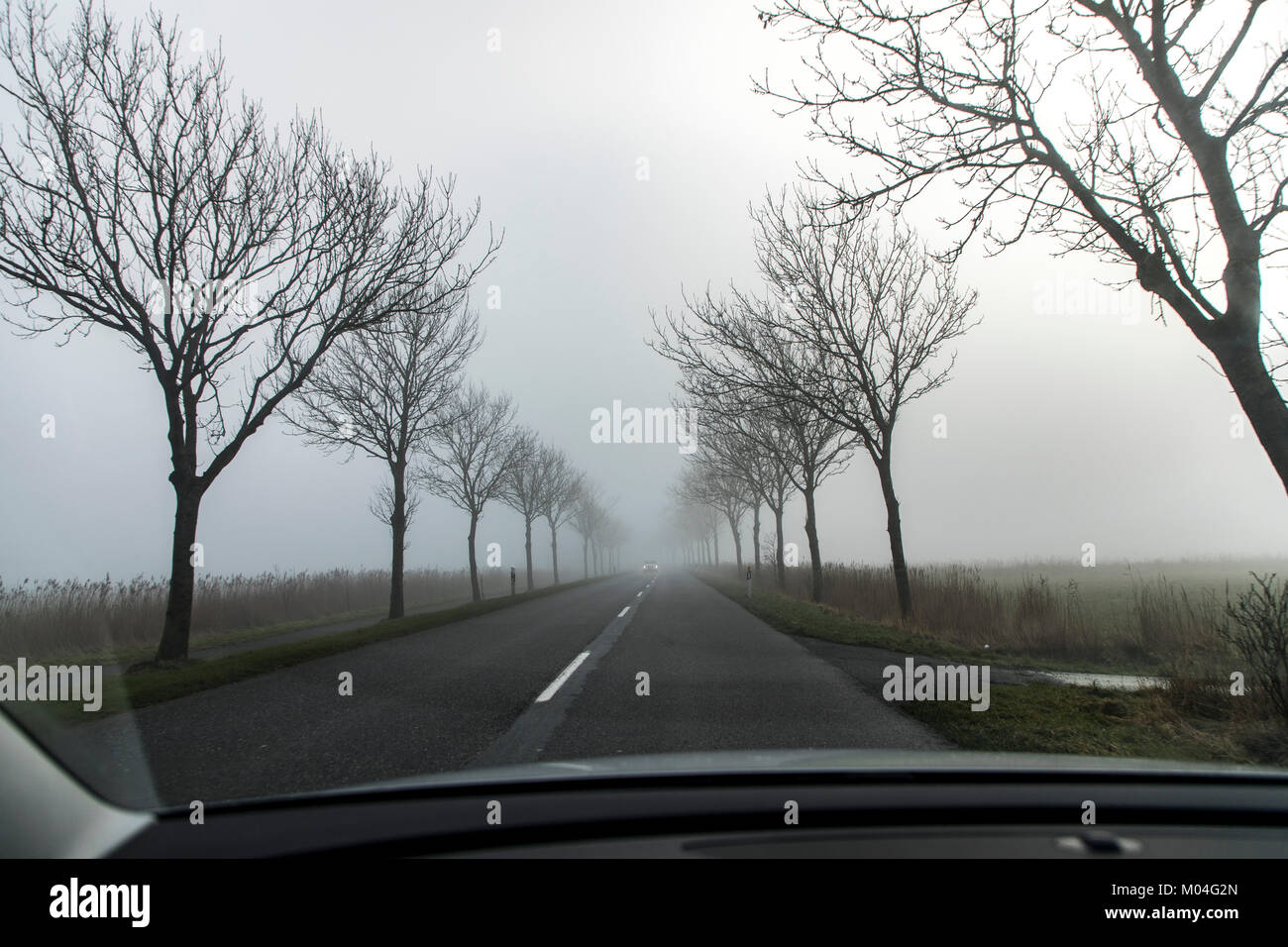 Country Road, nebligen Wetter, geringe Sichtbarkeit, Stockfoto