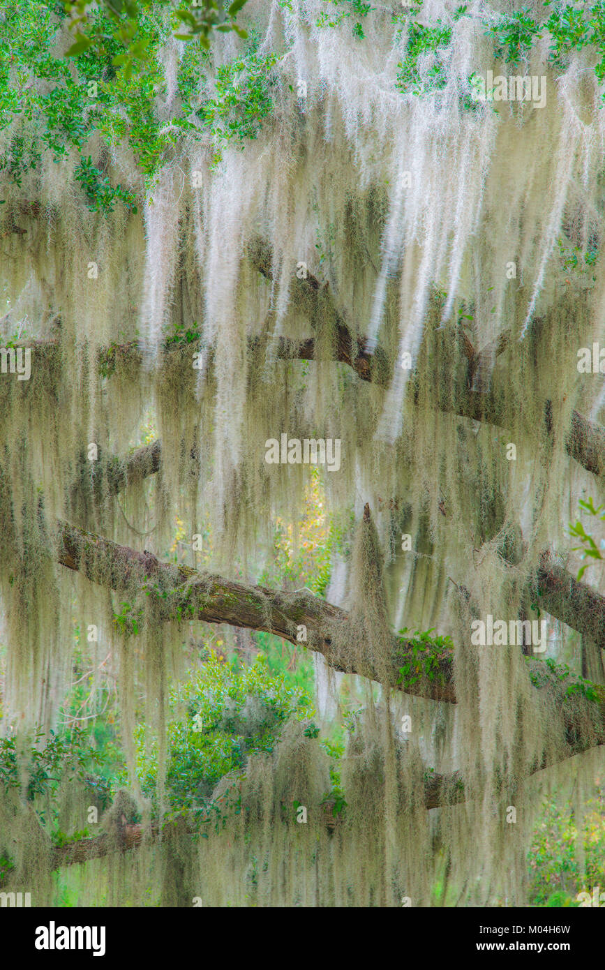 tumblr sticker kaktus Cactus Group Sticker