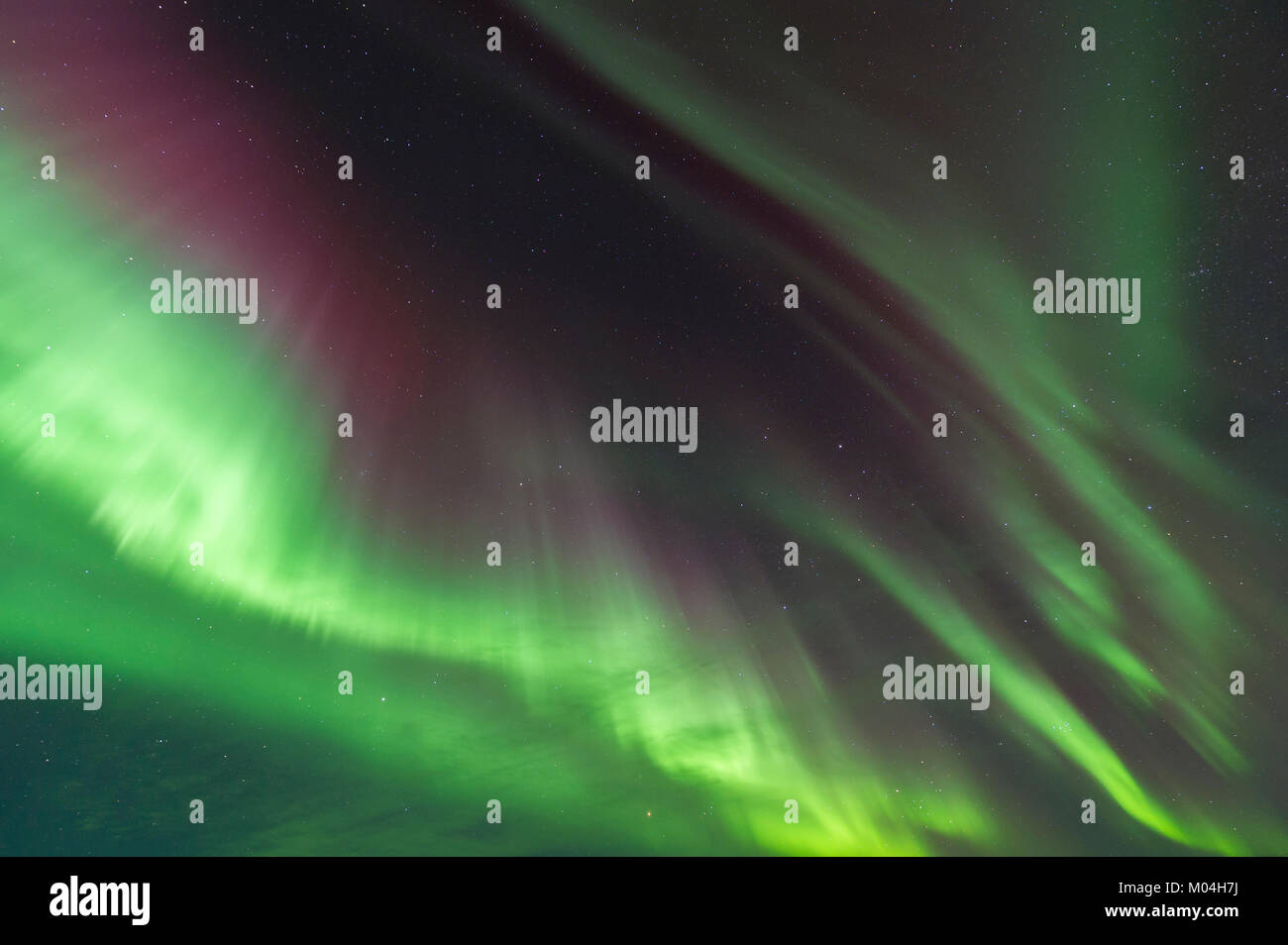 Nordlicht, Aurora Borealis. Alaska, USA März 2016, von Dominique Braud/Dembinsky Foto Assoc Stockfoto