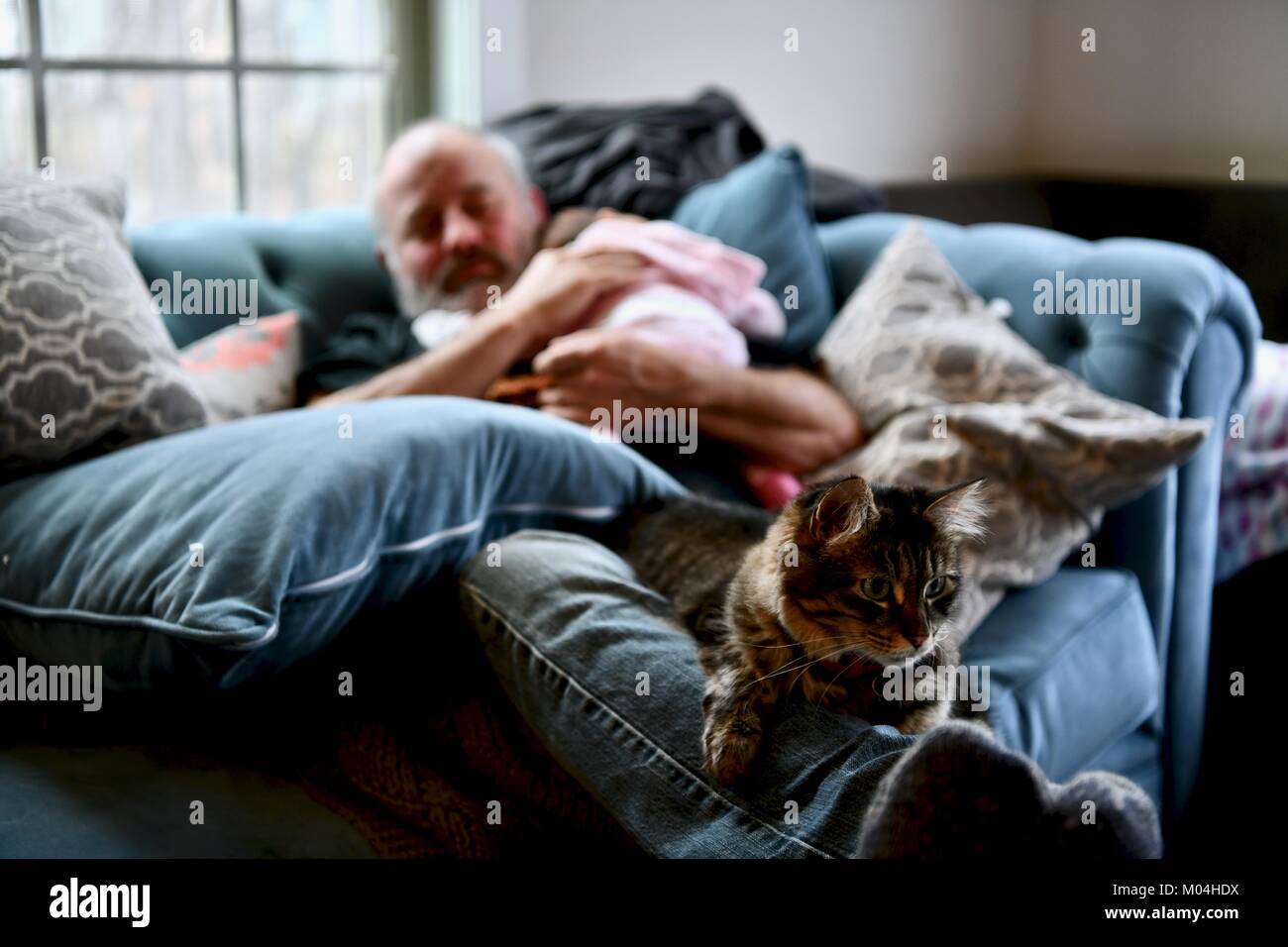 Opa Festlegung auf der Couch, während Holding Baby und Katze in Runde Stockfoto