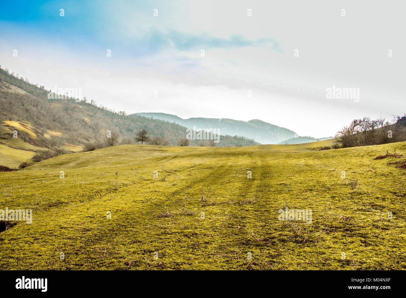 Grüne Gras Feld auf blauen Himmel und Berge zu weit entfernt. Autoreifen Trails auf Gras. Stockfoto