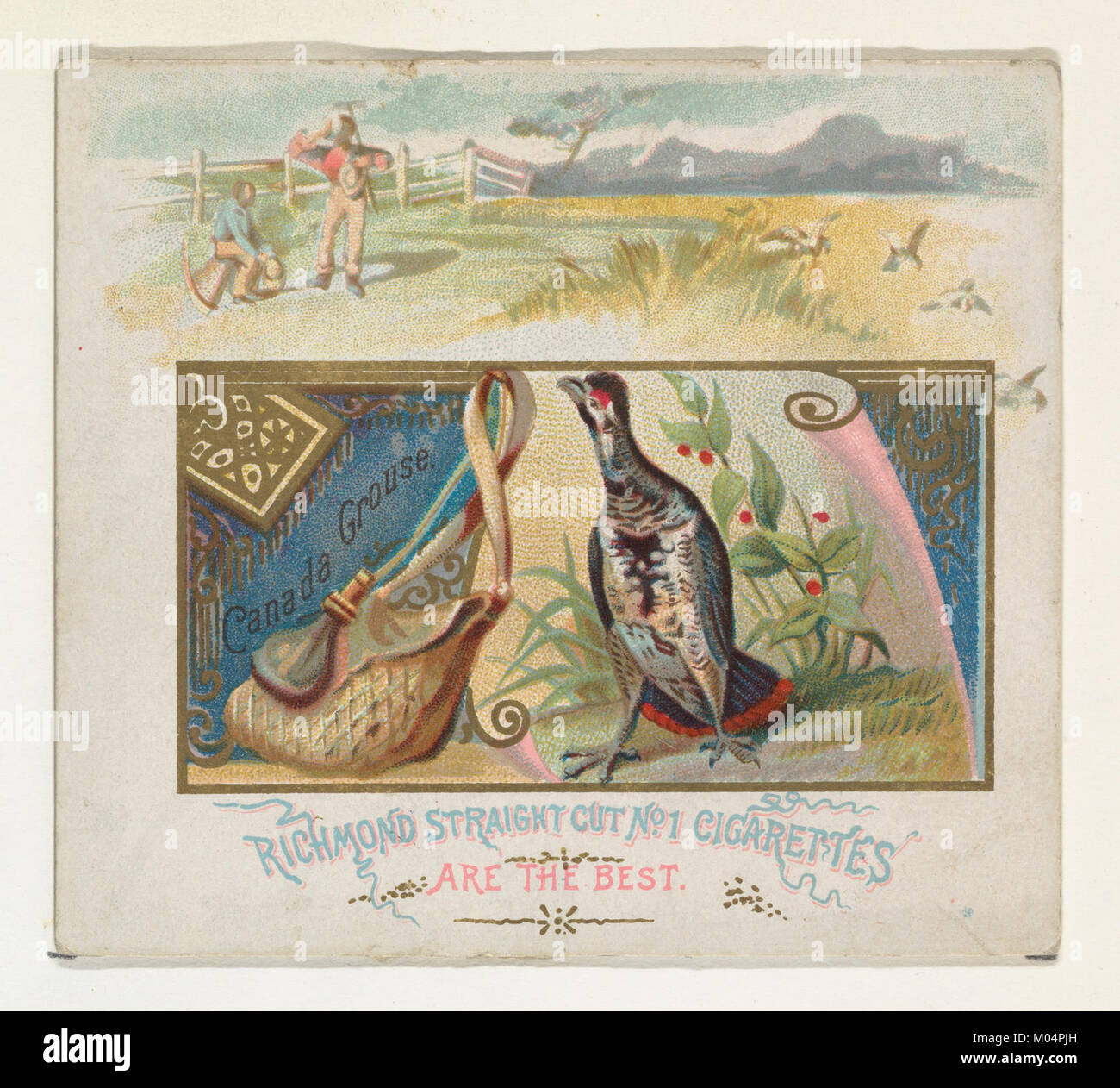Der Canada Grouse, der in der Game Birds-Serie von Allen & Ginter Cigarettes zu sehen ist, ist eine in Nordamerika heimische Vogelart. Bekannt für sein unverwechselbares Gefieder, besiedelt Waldgebiete und ist ein beliebtes Thema für Vogelbeobachter. Stockfoto
