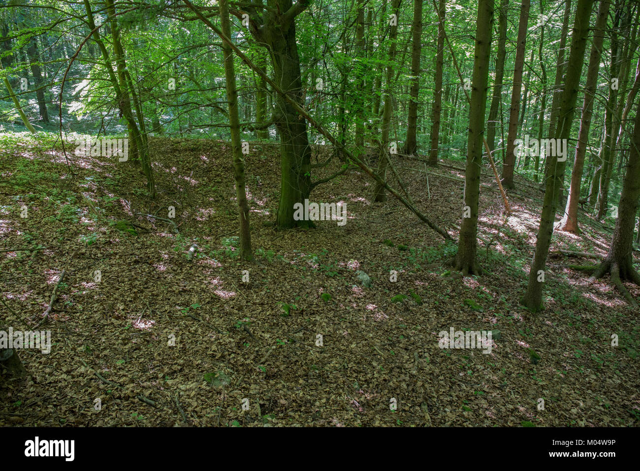 Burgstall Plankenstein ist eine historische Ruine in Deutschland, bekannt für ihre mittelalterliche Geschichte und als Symbol der feudalen Vergangenheit der regionâ. Stockfoto