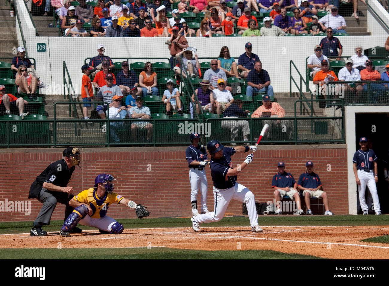 Feder Baseballspiel, Auburn University Stockfoto