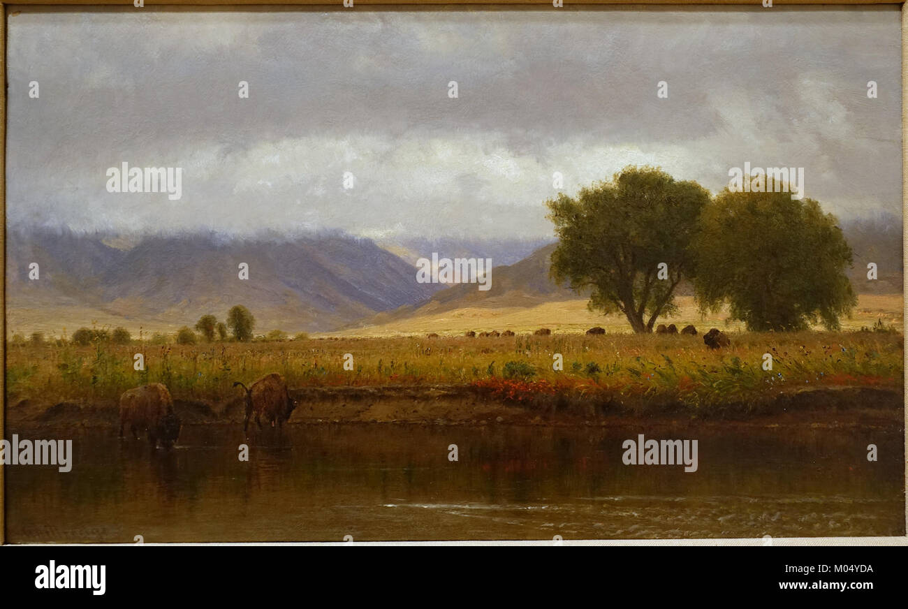 Büffel auf der Platte River, von Worthington Whittredge, 1866, Öl auf Karton - Blanton Museum für Kunst - Austin, Texas - DSC 08188 Stockfoto