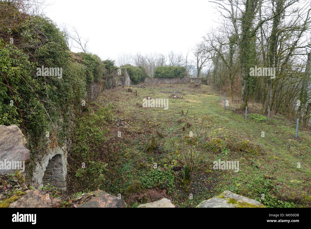 Die Burg Hauenstein in Baden ist eine historische Burg, die für ihre mittelalterliche Architektur und historische Bedeutung bekannt ist und einen Einblick in die feudale Vergangenheit der Region bietet. Stockfoto