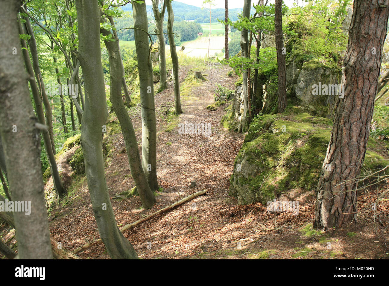 Der Burgstall Strahlenfels ist eine mittelalterliche Hügelburg in Baden-Württemberg. Es bietet einen malerischen Blick auf die umliegende Landschaft und repräsentiert die feudale Geschichte der Region. Stockfoto