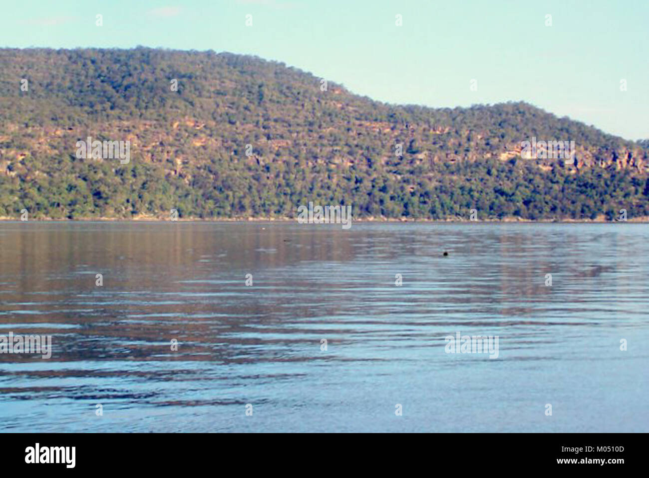Der Brisbane Water National Park in New South Wales bietet vom Bar Point aus eine malerische Aussicht auf Naturlandschaften und vielfältige Ökosysteme. Stockfoto