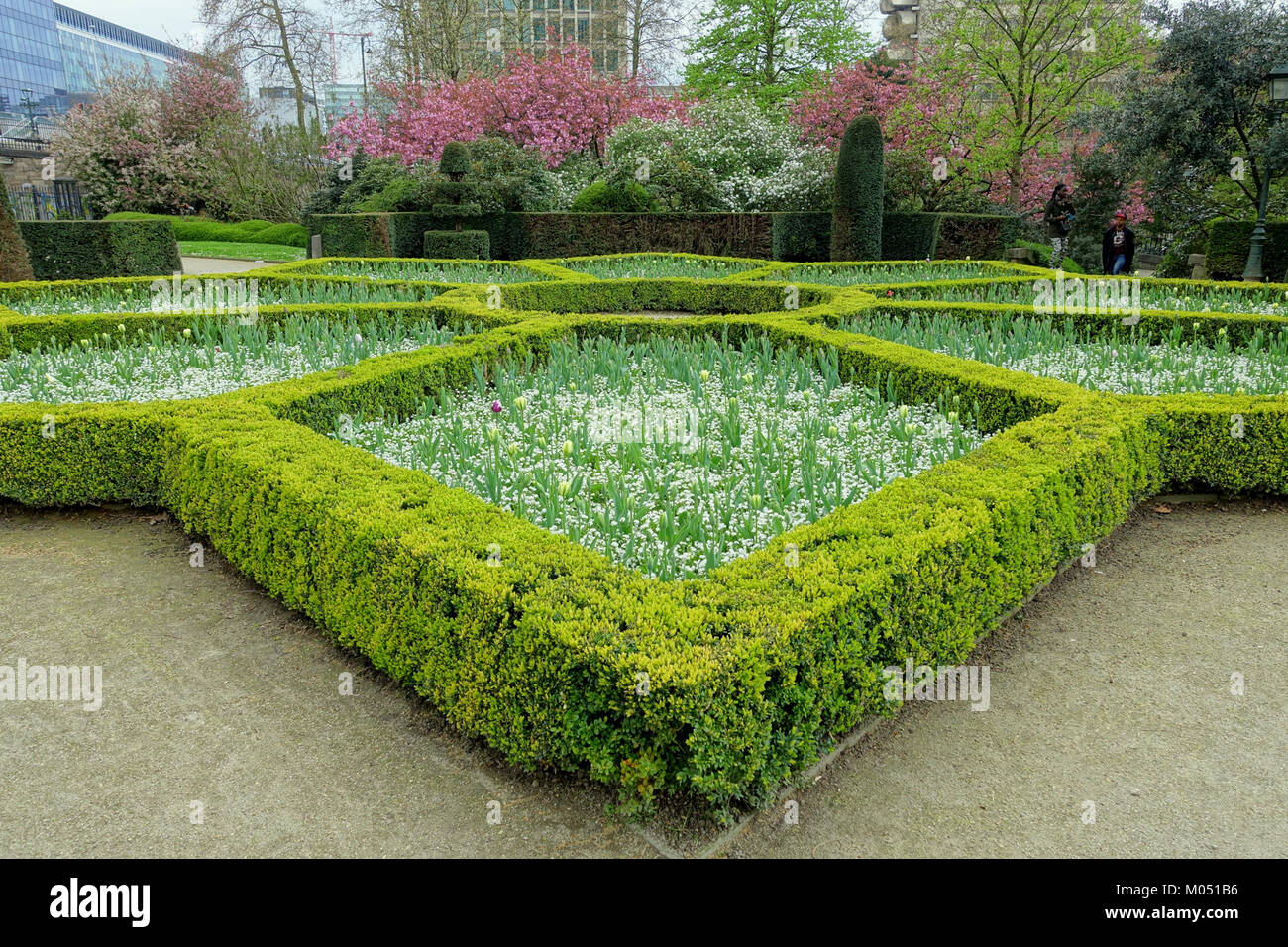 Der Botanische Garten von Brüssel, der sich in Belgien befindet, ist ein üppiger Raum, der der Erforschung und Ausstellung einer vielfältigen Sammlung von Pflanzenarten aus der ganzen Welt gewidmet ist. Stockfoto