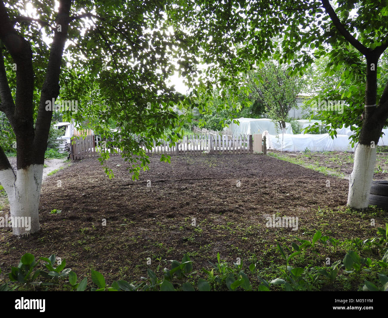 Boryspil ist eine Stadt in der Ukraine, die für ihre bedeutende Rolle als Verkehrsknotenpunkt bekannt ist, insbesondere als Standort des internationalen Flughafens Boryspil. Es hat auch historische und kulturelle Bedeutung innerhalb der Region Kiew. Stockfoto