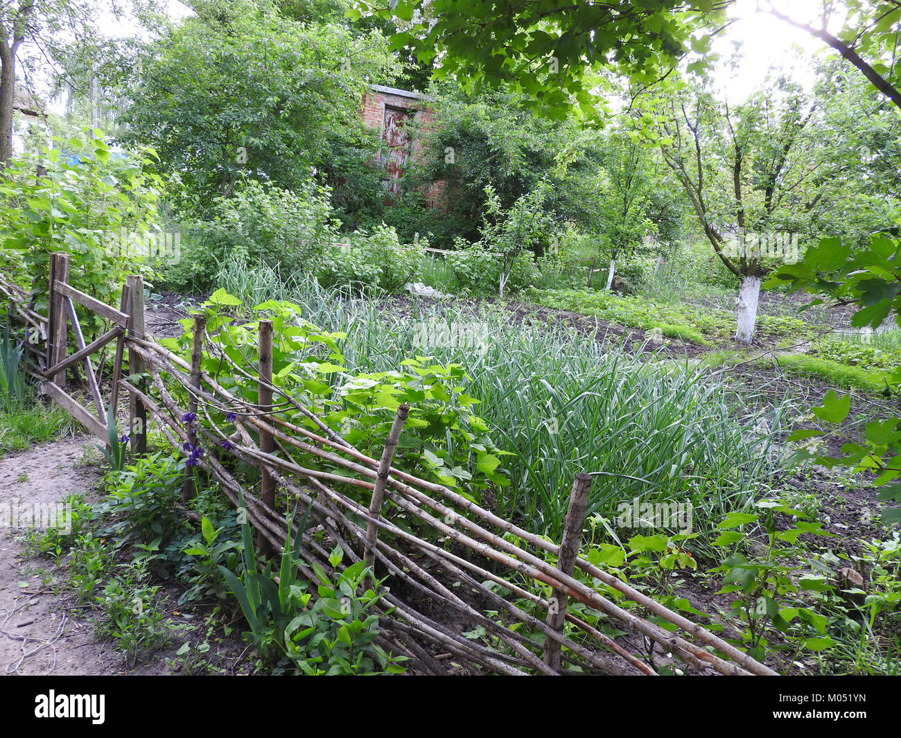 Boryspil ist eine Stadt in der Nähe von Kiew, Ukraine, bekannt für ihren internationalen Flughafen und als Verkehrsknotenpunkt. Sie ist ein wichtiger Teil der Infrastruktur der Region und hat historische und kulturelle Bedeutung. Stockfoto