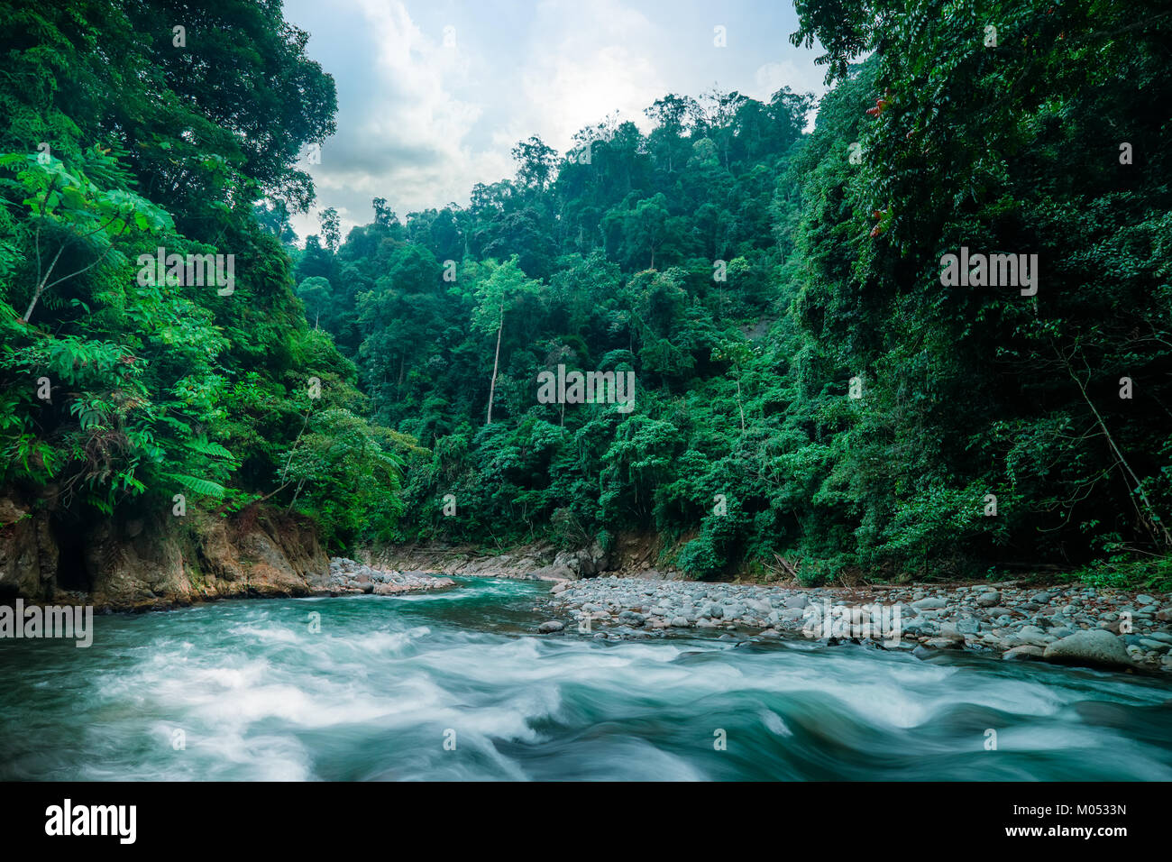 Geheimnisvolle Bergdschungel mit Bäumen beugte sich über schnelle Stream mit Stromschnellen. Zauberhafte Landschaft von Regenwald und Fluss mit Felsen. Nord Sumatra, Indo Stockfoto