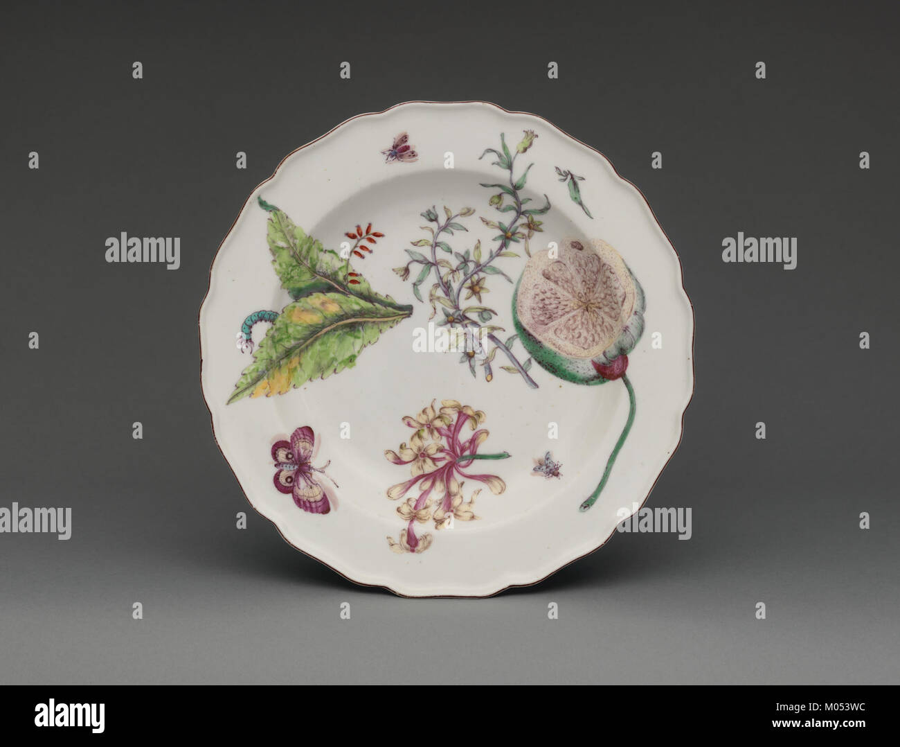 Diese botanische Platte zeigt einen detaillierten Spritzer Geißblatt, der die zarten Blütenblätter und die natürliche Schönheit der Pflanze zeigt. Das Kunstwerk spiegelt die Tradition der botanischen Illustration wider, bei der Pflanzen mit wissenschaftlicher Genauigkeit und künstlerischem Flair dargestellt werden. Stockfoto