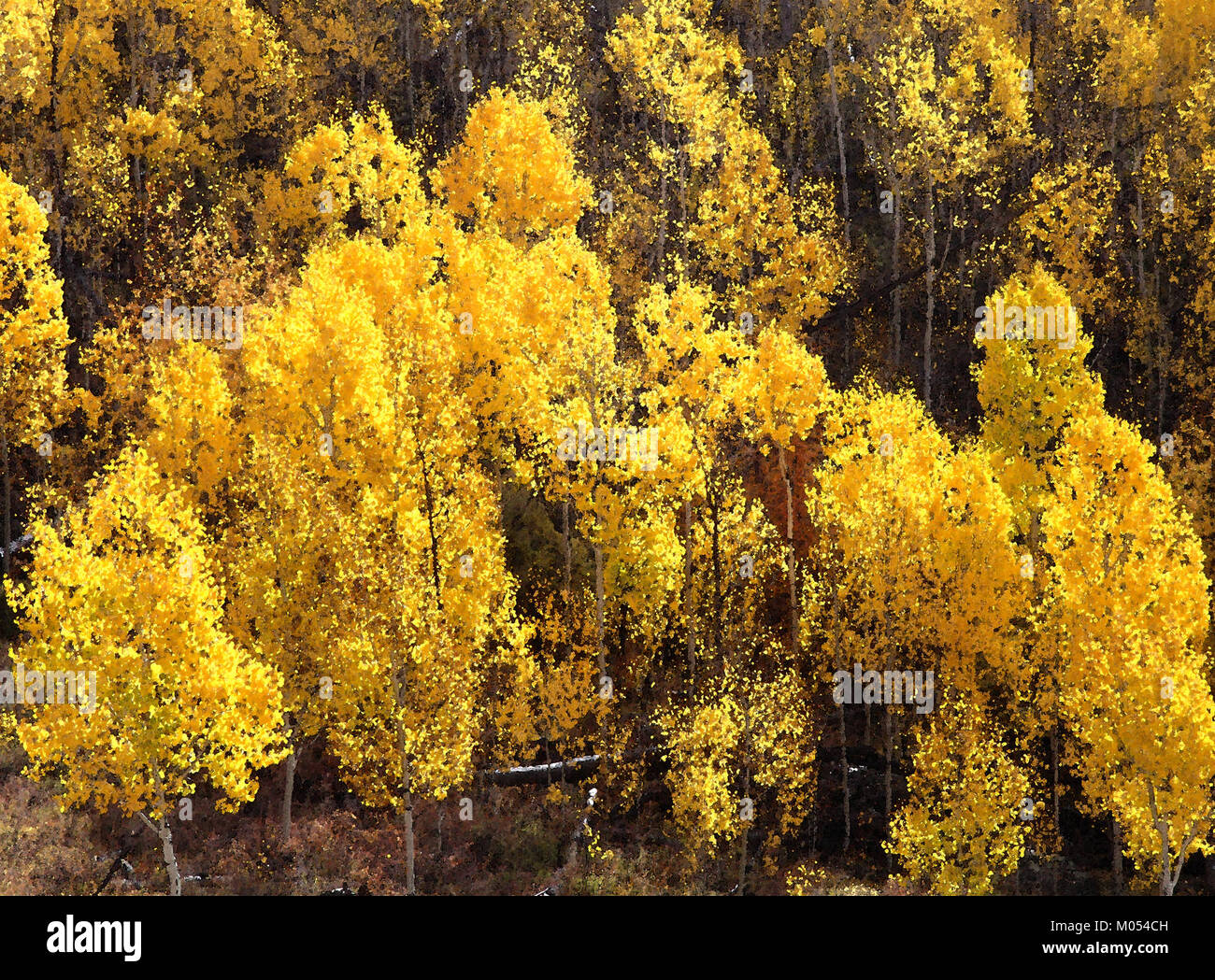 BOULDER, MT, UT - 2016-09-30 Herbst Farbe-22 b (31659772705) Stockfoto