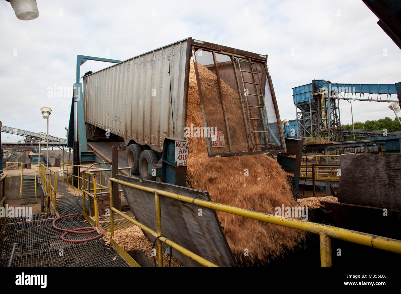 Trailer entlädt Holzspäne Stockfoto