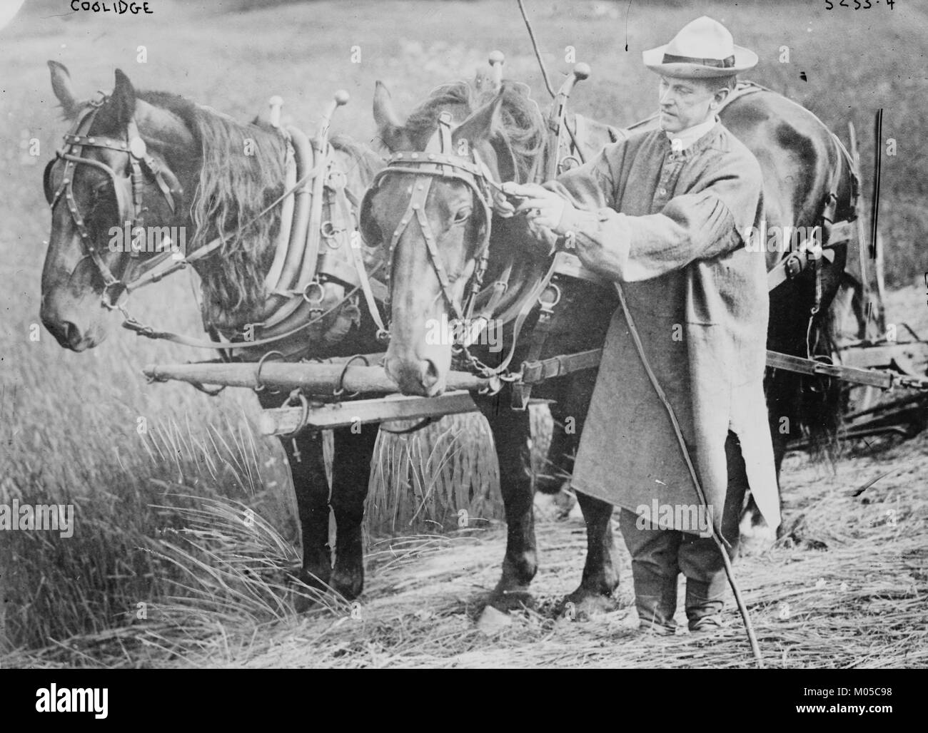 Präsident Coolidge mit einem Team von Pferden Stockfoto