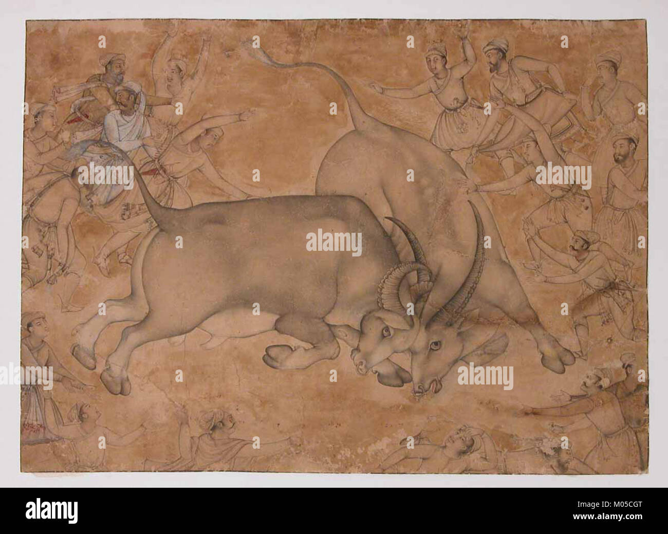 Buffaloes in Combat ist ein Kunstwerk aus dem Metropolitan Museum of Art, das Büffel in einer Kampfszene darstellt. Das Stück ist bekannt für seine dynamische Darstellung von Kraft und Bewegung, die die intensive Energie der Tiere einfängt. Es bietet Einblick in die Darstellung von Wildtieren in der Kunst. Stockfoto