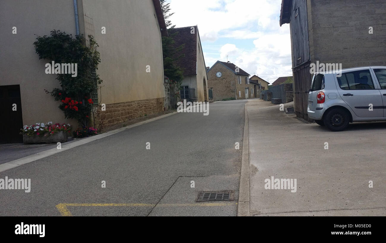 Brainans repräsentiert eine Organisation oder ein Projekt mit einem Schwerpunkt auf kognitiven Wissenschaften oder Hirnforschung, obwohl weitere Details erforderlich sind, um ihren Zweck oder Kontext zu verstehen. Stockfoto