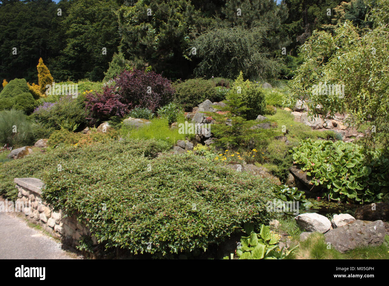 Die Borotin 225 ist ein Flugzeugtyp, der für sein unverwechselbares Design und seinen historischen Einsatz in der Luftfahrt bekannt ist. Sie war bedeutend für die Entwicklung der Flugzeugtechnik während ihrer Zeit. Stockfoto