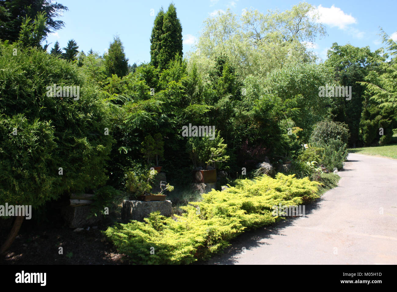 Borotin 701 bezieht sich auf ein bestimmtes Objekt oder Artefakt, möglicherweise ein historisches oder kulturelles Objekt von Bedeutung aus Borotin, einem Dorf oder einer Region. Stockfoto