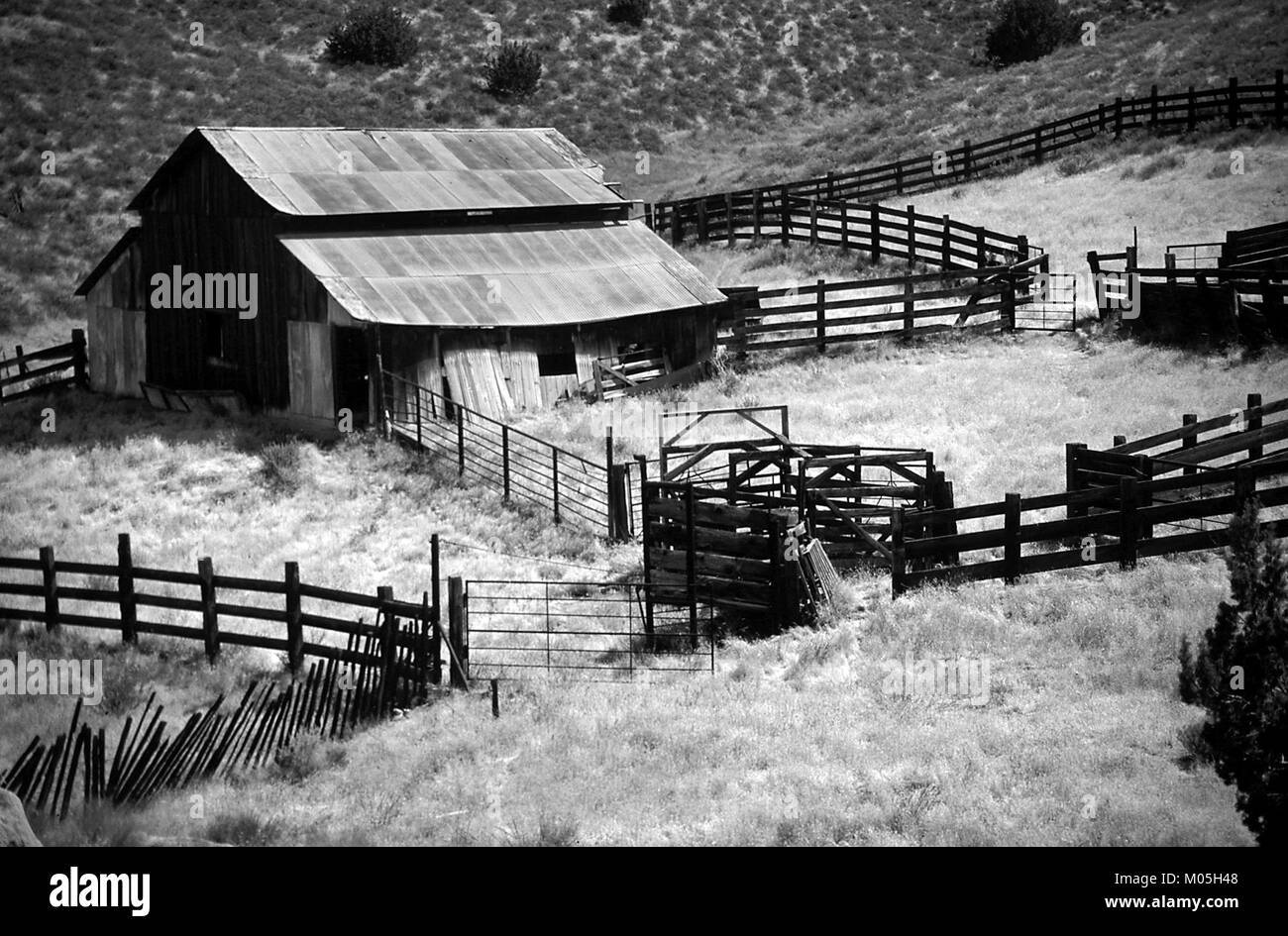 Die Carrizo Plain im San Luis Obispo County, Kalifornien, ist ein Naturschutzgebiet, das für sein einzigartiges Ökosystem und seine Artenvielfalt bekannt ist. Die Region ist die Heimat verschiedener Pflanzen- und Tierarten, darunter der vom Aussterben bedrohte kalifornische Kondor, und ist bekannt für seine landschaftlich reizvollen und geologischen Besonderheiten. Stockfoto