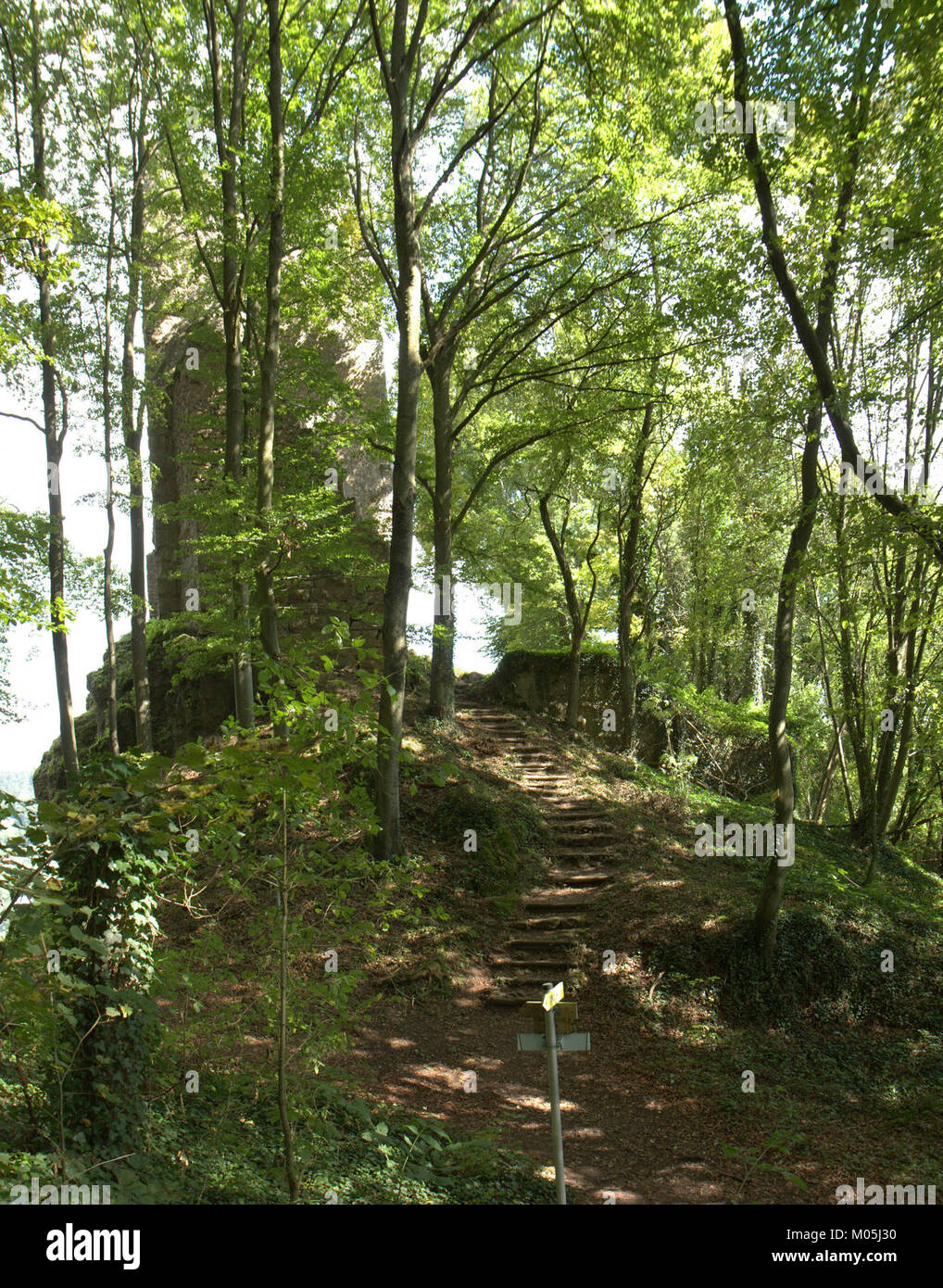 Die Burgruine Tachenstein ist die Ruine einer mittelalterlichen Burg in Deutschland. Es ist ein historisches Wahrzeichen, das Einblicke in die Architektur und Geschichte der Region während des Mittelalters bietet. Stockfoto