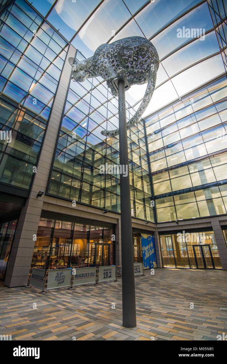 Marischal Square Aberdeen leopard Skulptur Stockfoto