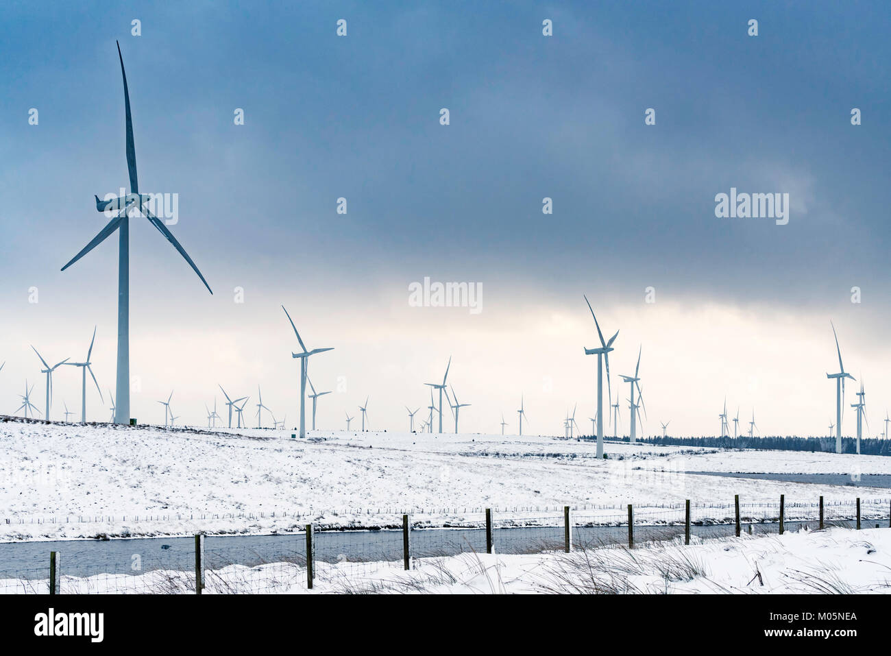 Anzeigen von Windenergieanlagen im Windpark Whitelee nach Schneefall im Winter von Scottish Power betrieben, Schottland, Vereinigtes Königreich Stockfoto
