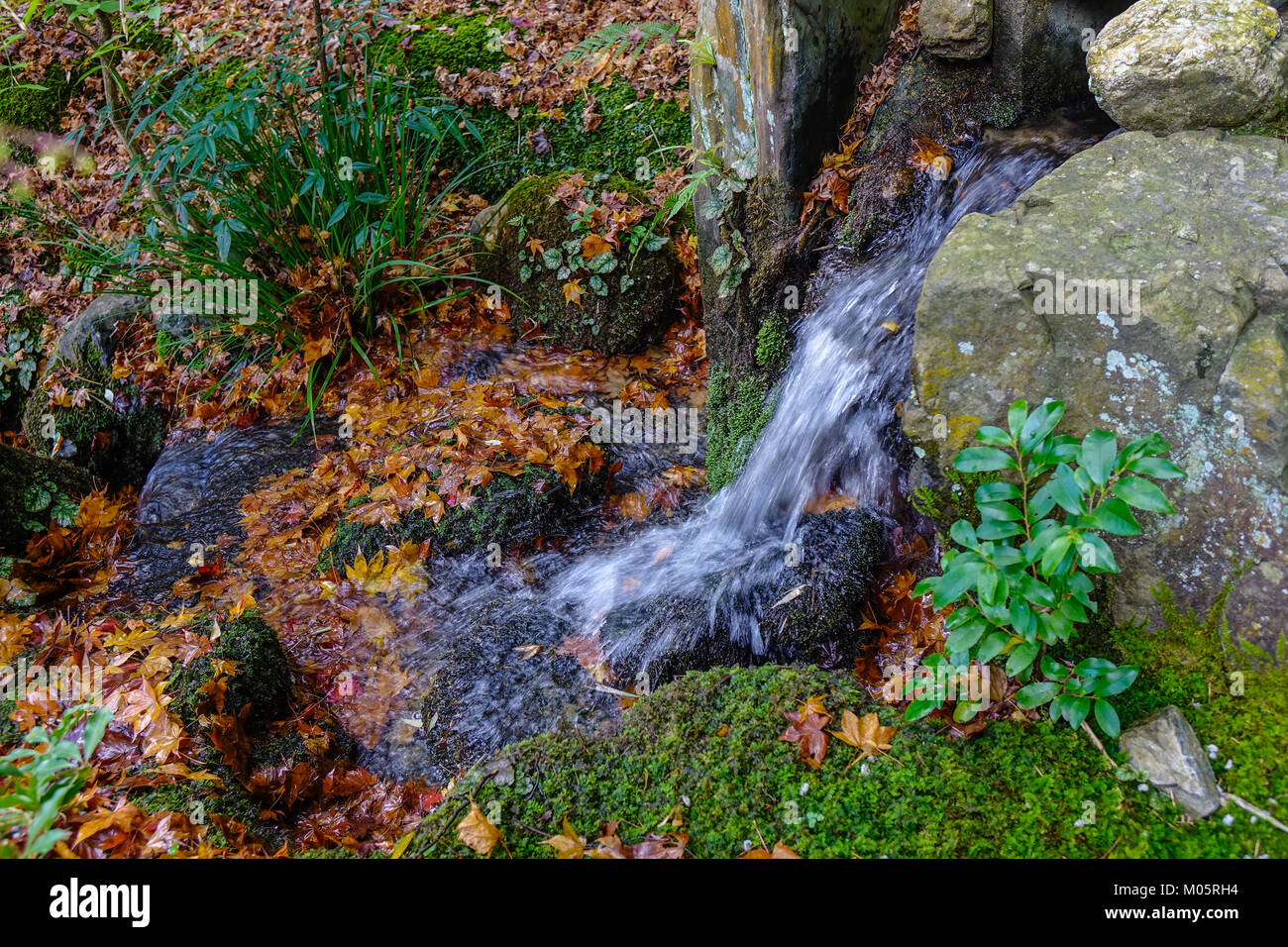 Rechen kies garten Fotos und Bildmaterial in hoher Auflösung Seite