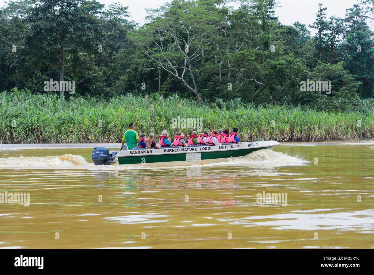 Touristen in einem Boot auf dem Fluss Kinabatangan, Sukau Kinabatangan, Borneo, Sabah, Malaysia Stockfoto