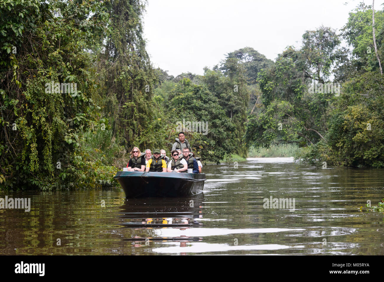 Touristen in einem Boot auf einem Nebenfluss des Kinabatangan Flusses, Sukau Kinabatangan, Borneo, Sabah, Malaysia Stockfoto