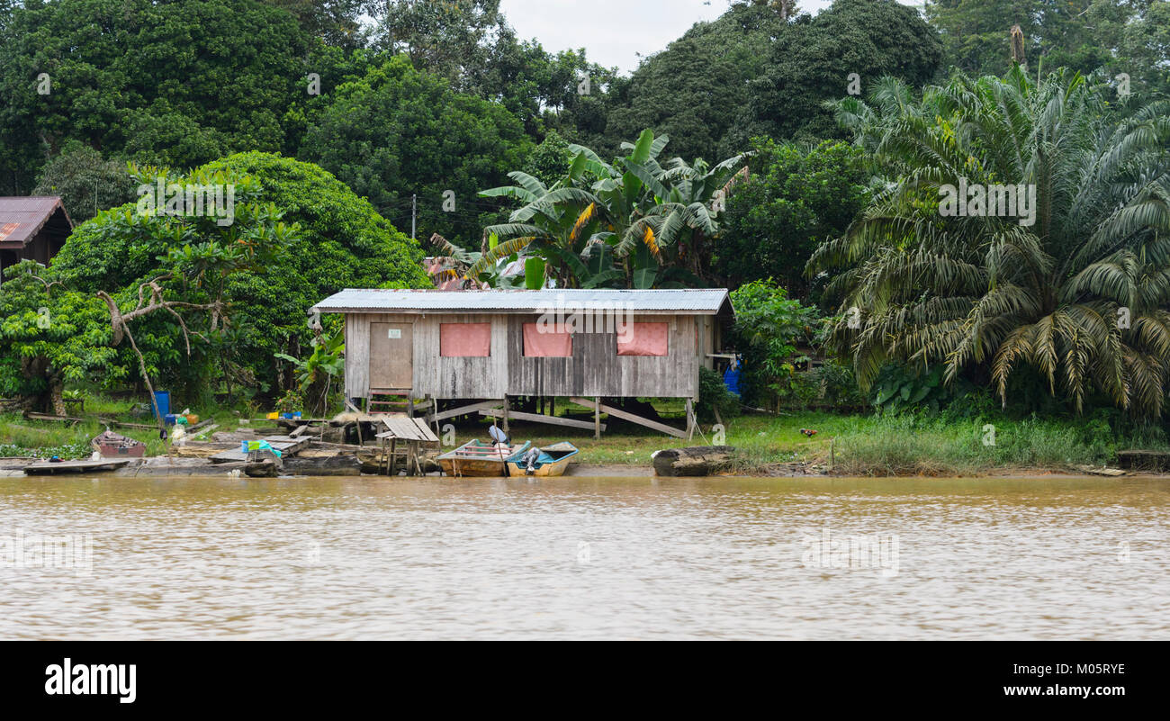 Hütte entlang des Kinabatangan Flusses, Sukau Kinabatangan, Borneo, Sabah, Malaysia Stockfoto