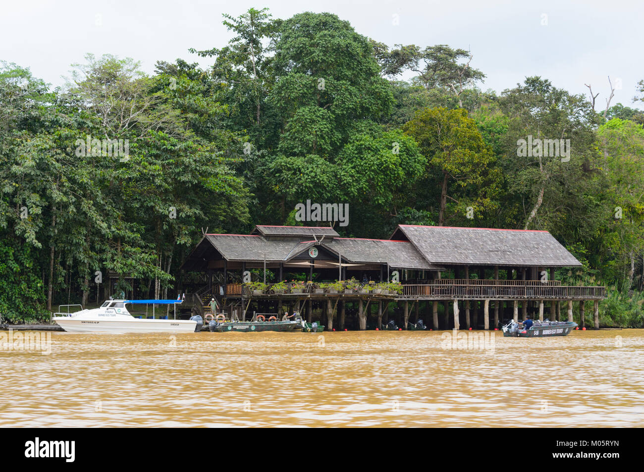 Sukau Rainforest Lodge entlang des Kinabatangan Flusses, Sukau Kinabatangan, Borneo, Sabah, Malaysia Stockfoto