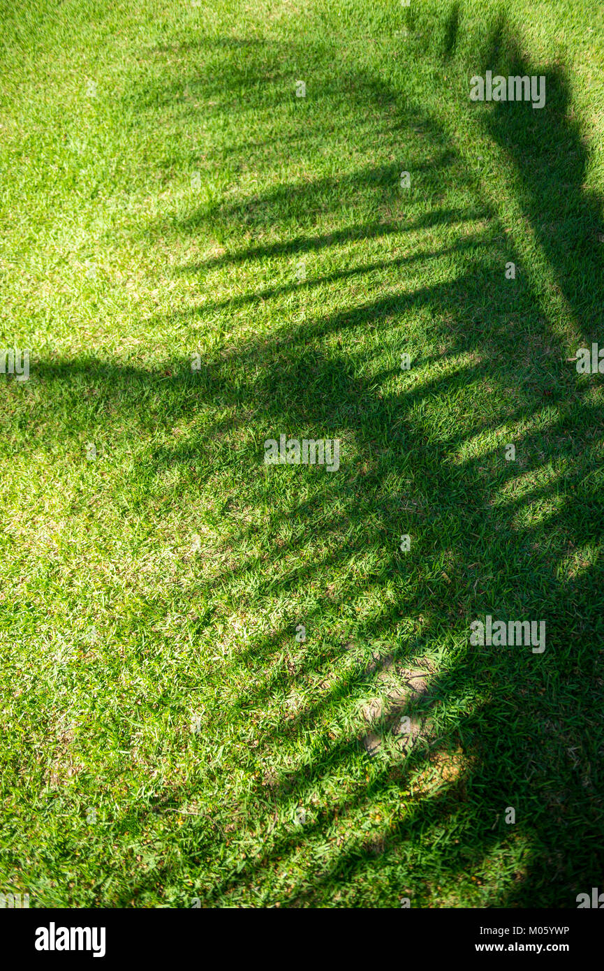 Strukturierten Hintergrund der tropischen Palme Wedel Schatten winken in helle Sonne über strukturierte grünes Gras Stockfoto
