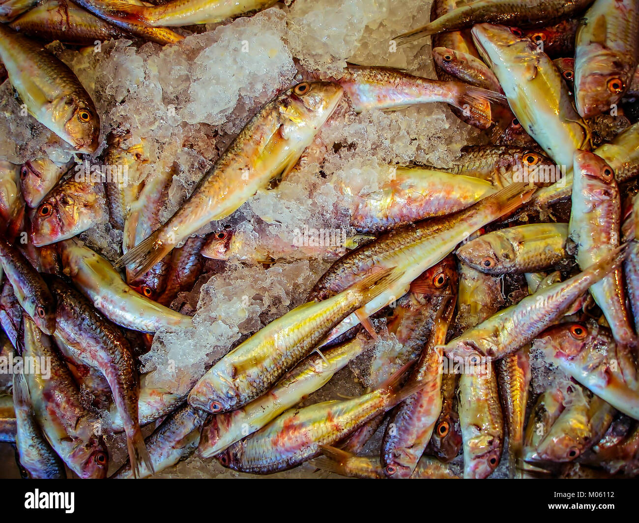 Fish market in naples italy -Fotos und -Bildmaterial in hoher Auflösung ...