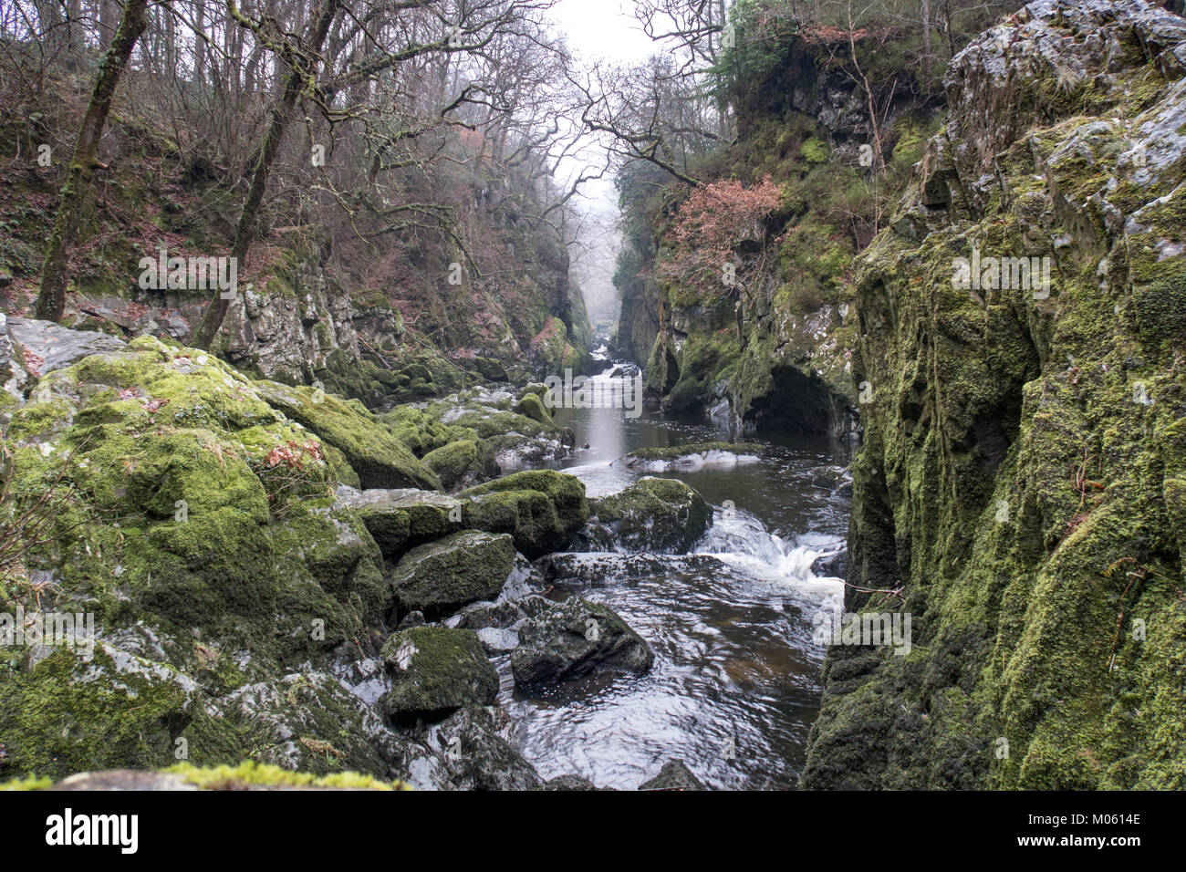 Fairy Glen ist eine spektakuläre Schlucht, die zu einer Verdrehung Reihe von Wasserfällen und Kaskaden, die zwischen senkrechten Wänden Rush und über die riesigen Felsen führt Stockfoto