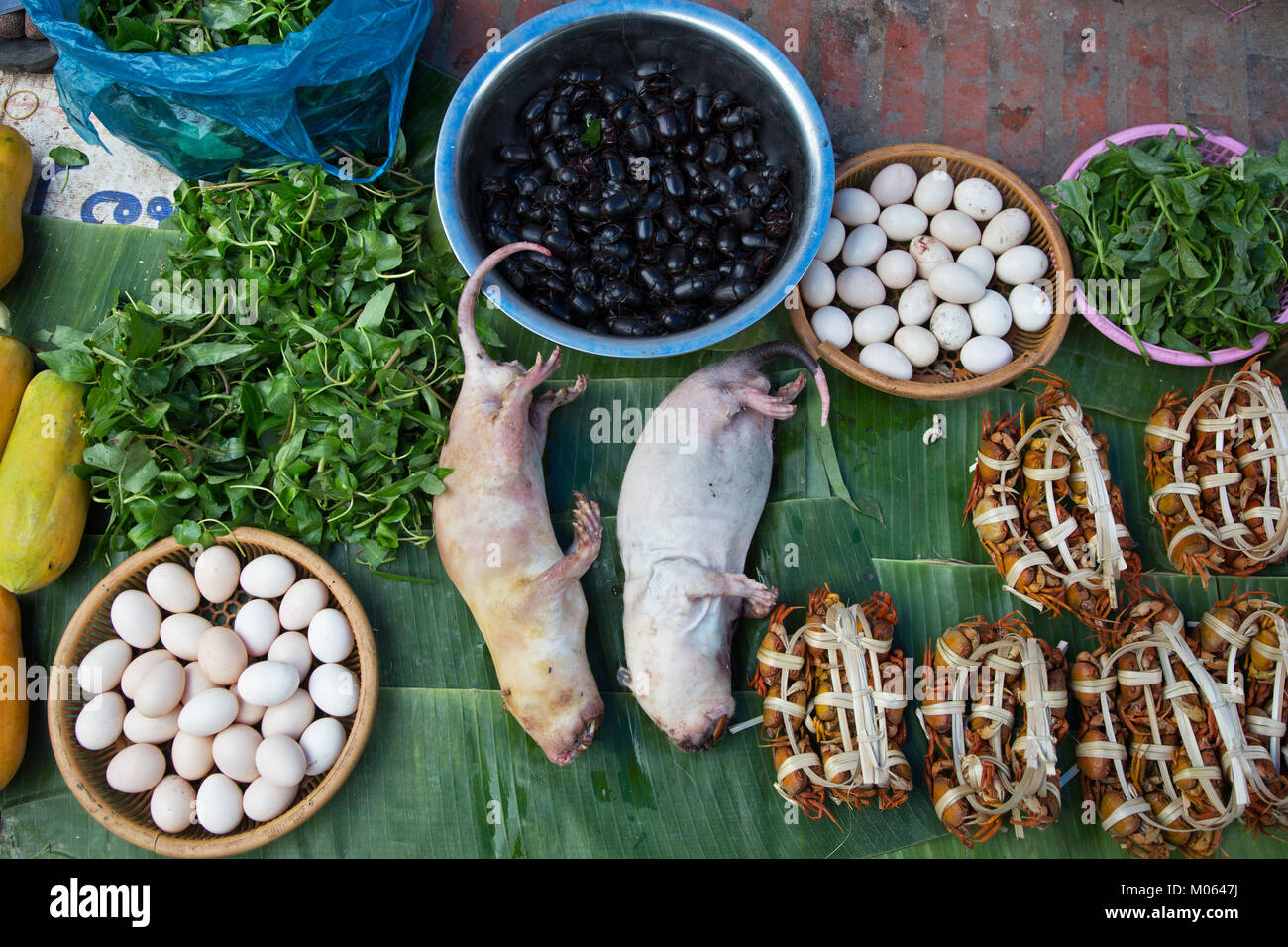 Ratten, Krabben, Käfer und Eier am Morgen Markt in Luang Prabang, Laos Stockfoto