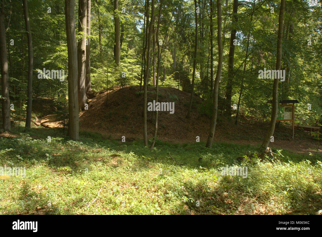 Der Burgstall Hohenbrunnen ist der Standort einer mittelalterlichen Burgruine in Deutschland. Es ist ein historisch bedeutsamer Ort, der einen Einblick in die feudale Vergangenheit und Architektur der Region bietet. Stockfoto